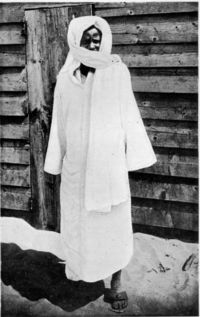 serigne touba mbacke